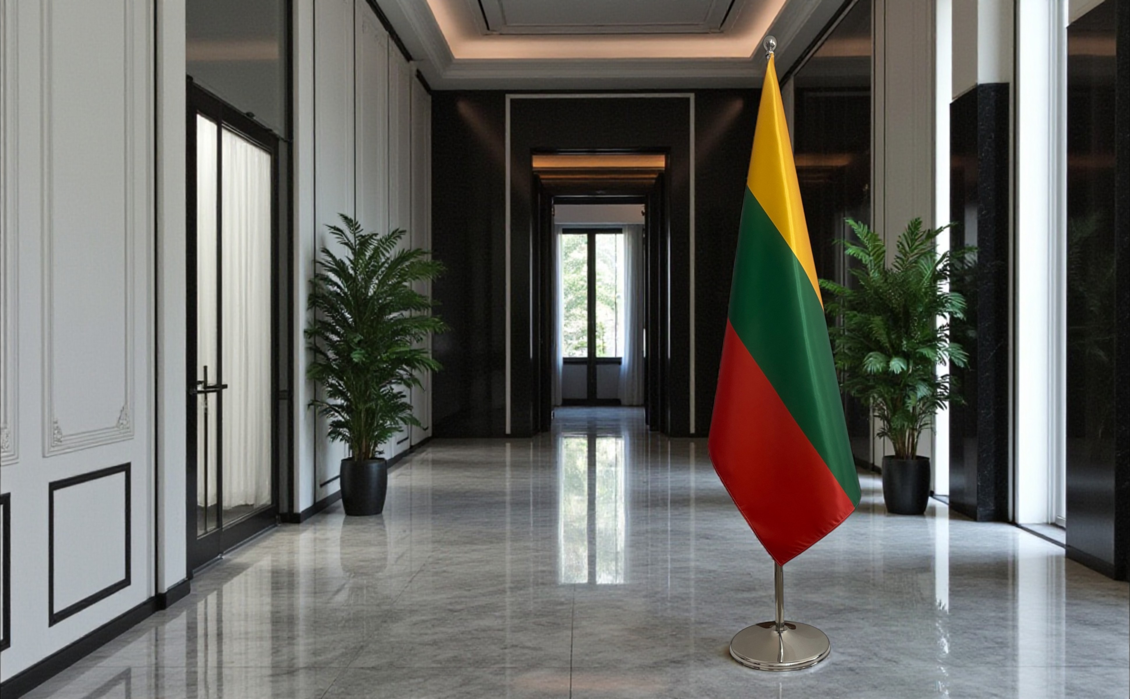 drapeau Lituanie sur pied